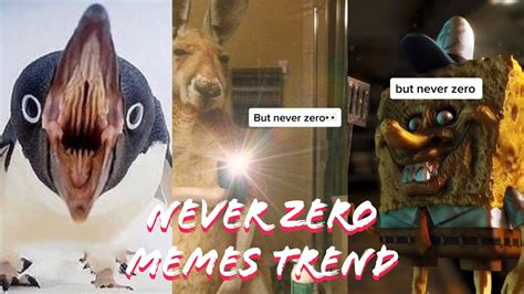 The Chances Are Low But Never Zero Tik Tok Memes Compilation.